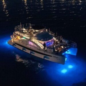 Boat Party Utopia
